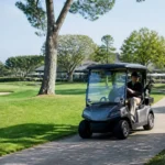Electric Golf Buggies