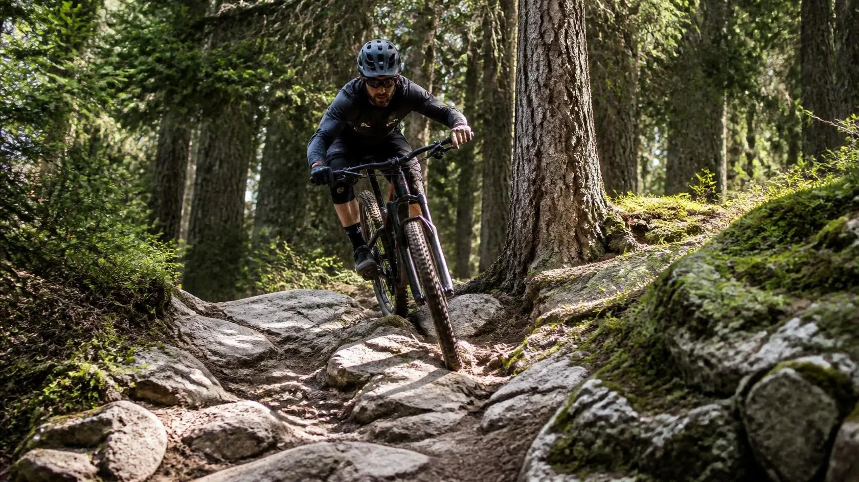 Mountain Bike News